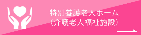 特別養護老人ホーム （介護老人福祉施設）